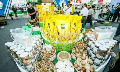 對(duì)接長(zhǎng)三角市場(chǎng)！阜陽(yáng)組團(tuán)參加上海農(nóng)交會(huì)，食用油產(chǎn)品受關(guān)注