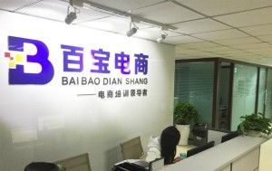 成都百寶教育咨詢 專業引領，成就未來教育之路